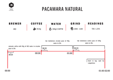 Load image into Gallery viewer, La Bella - Pacamara Natural - Filter