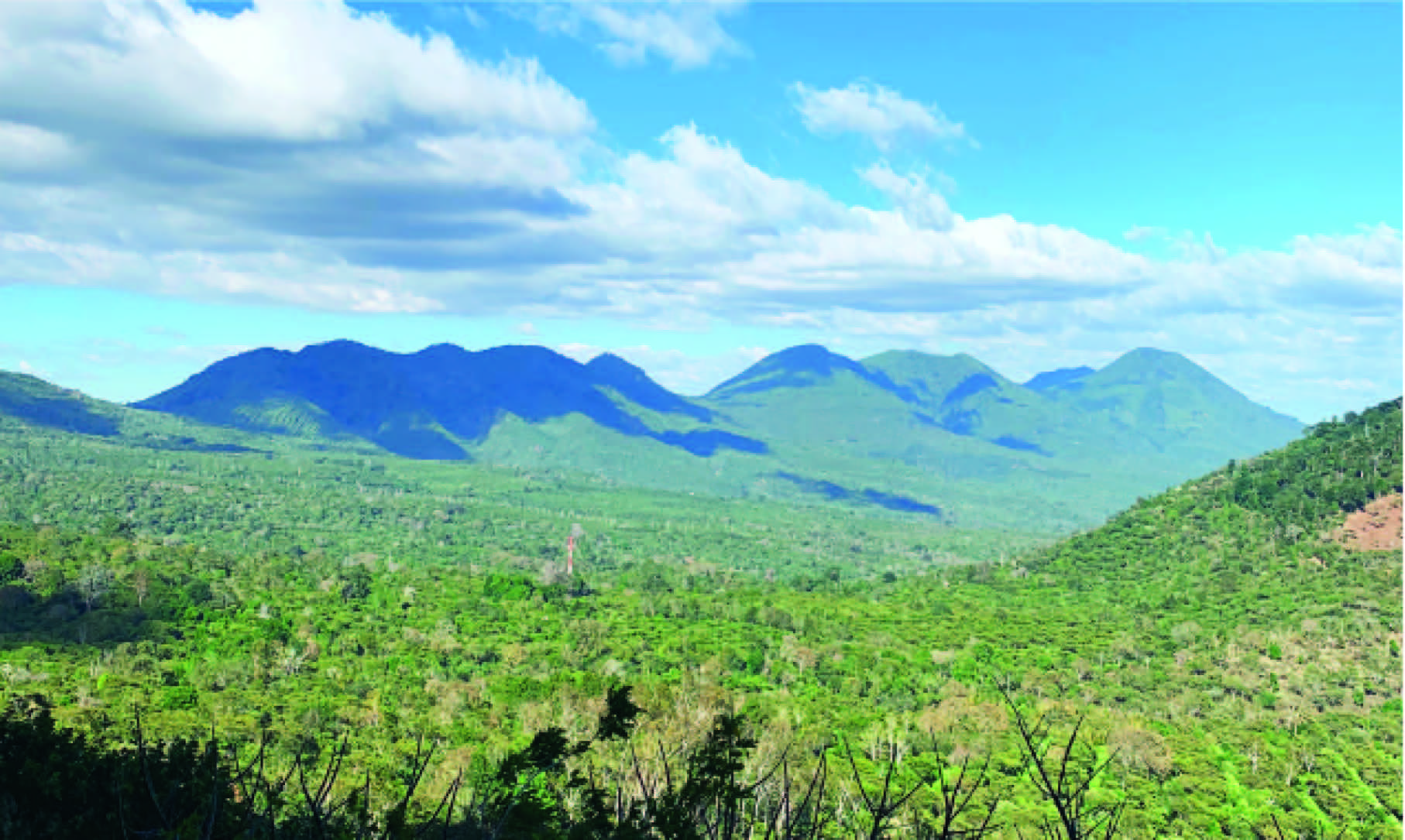 EL CERRO 20grams Coffee Roastery