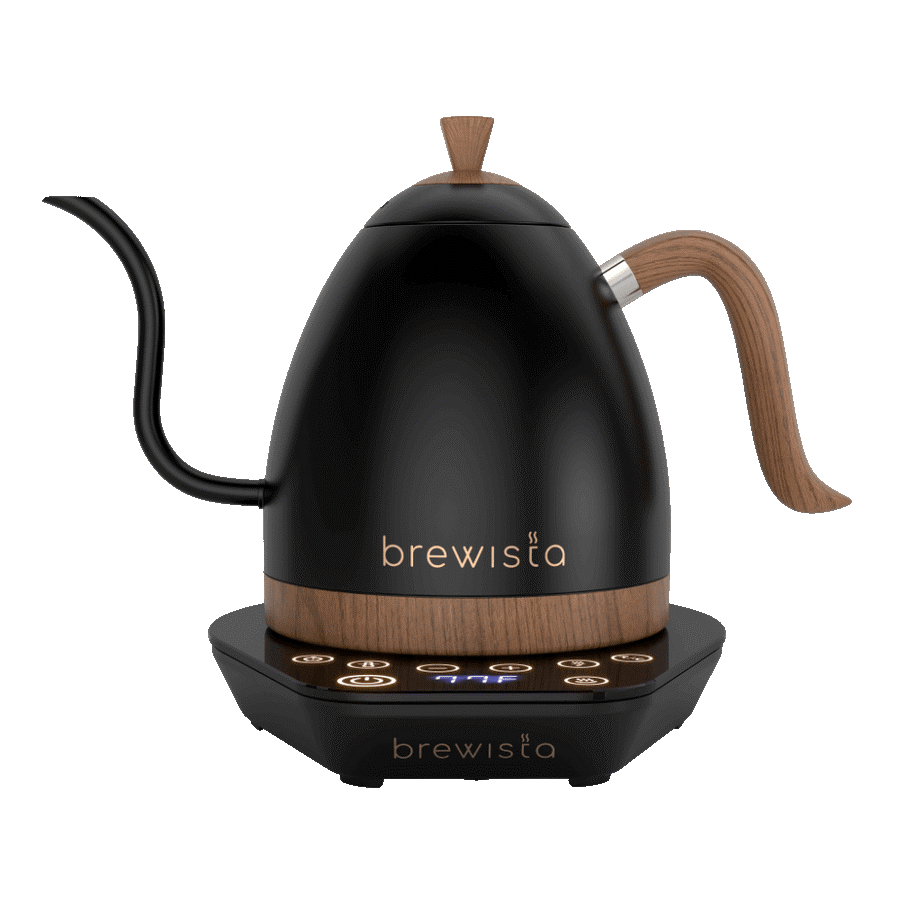 Brewista - Gooseneck Variable Electric Kettle - 600ml - Matt Black