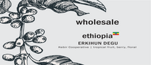 Load image into Gallery viewer, Kebir Coffee - Gesha Natural - Filter - Wholesale
