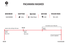 Load image into Gallery viewer, Finca Rosma - Pacamara Washed - Filter
